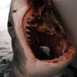 The Reality Beneath the Surface