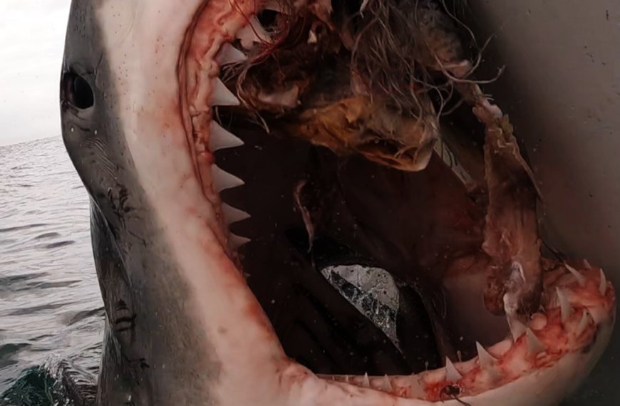 The Reality Beneath the Surface