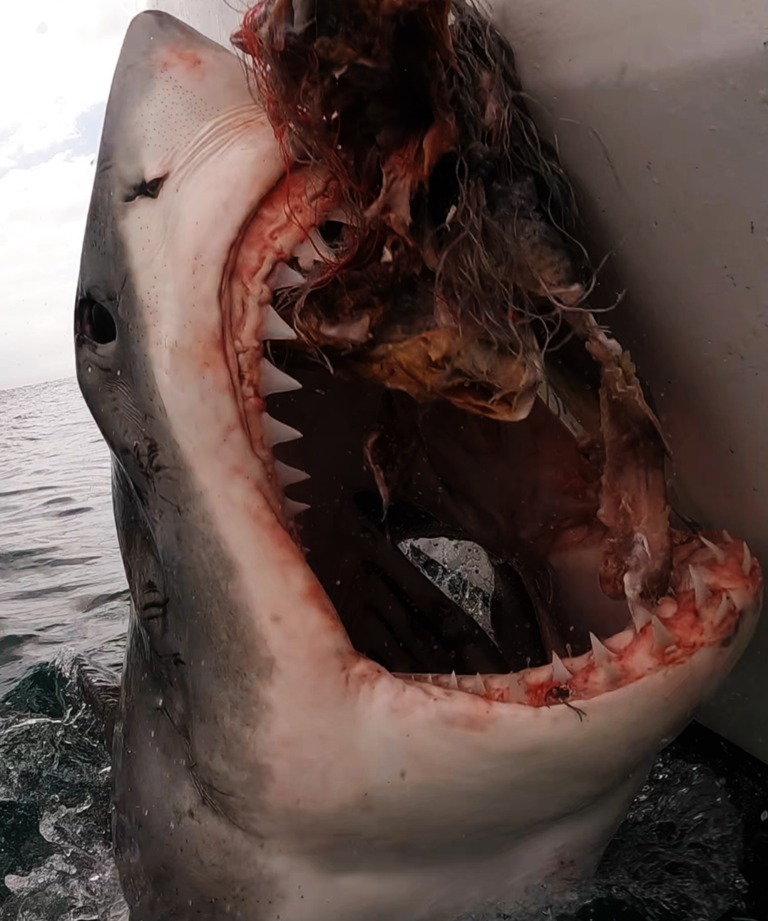 The Reality Beneath the Surface